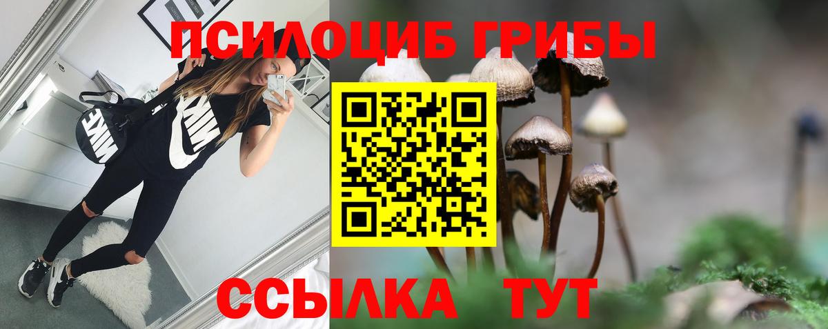 Лабинск  Псилоцибиновые грибы Psilocybine cubensis  Вход с VPN 