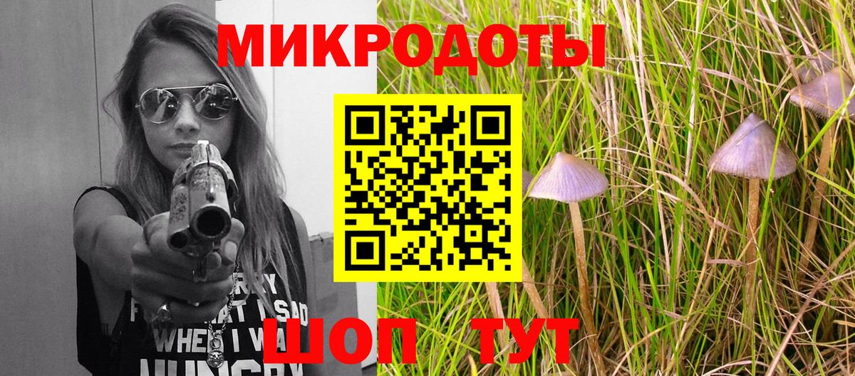 Псилоцибиновые грибы мицелий Лабинск